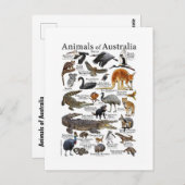 オーストラリア動物図 ポストカード (正面/裏面)