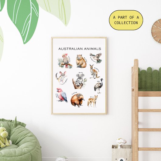 オーストラリア動物教育ポスター ポスター