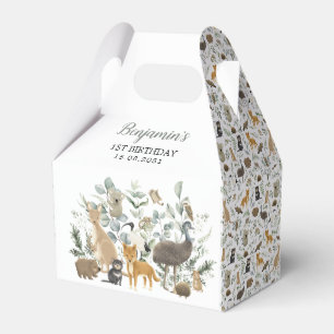 オーストラリア動物緑ユーカリ誕生日 フェイバーボックス