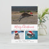 オーストラリア動物赤いスクリプト数々のフォトコラージュ シーズンカード (スタンド正面)