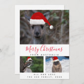 オーストラリア動物赤いスクリプト数々のフォトコラージュ シーズンカード (正面/裏面)