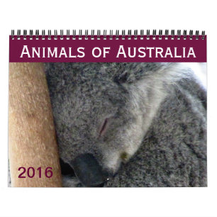 オーストラリア動物2016年 カレンダー