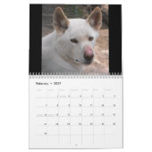 オーストラリア動物 カレンダー (2月 2027)