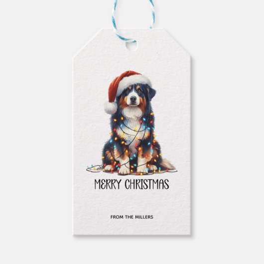 オーストラリア包まれたの羊飼い ギフトタグ (正面)