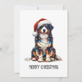 オーストラリア包まれたの羊飼い シーズンカード