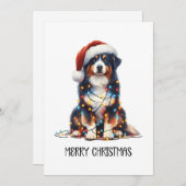 オーストラリア包まれたの羊飼い シーズンカード (正面/裏面)