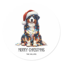 オーストラリア包まれたの羊飼い