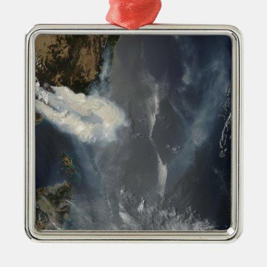 オーストラリア南東部の火災と煙 メタルオーナメント (正面)