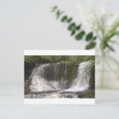 オーストラリア南部のタスマニア島のオアシス滝 ポストカード (スタンド正面)