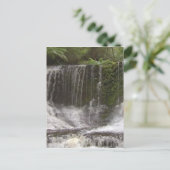 オーストラリア南部タスマニアのオアシス滝 ポストカード (スタンド正面)