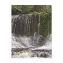 オーストラリア南部タスマニアのオアシス滝