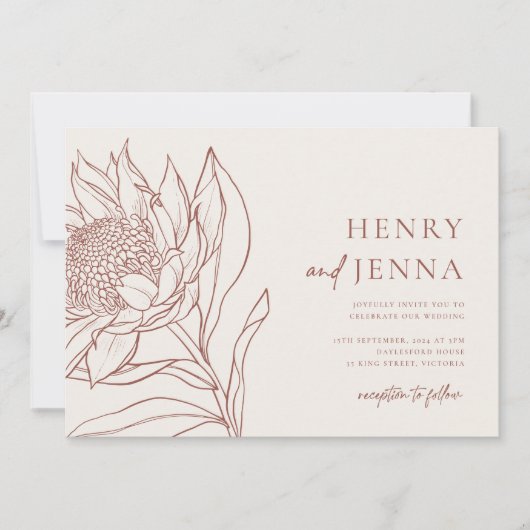 オーストラリア原産の植物 ワラタ プロテア 招待状 (正面)