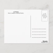 オーストラリア向けポストカード | 風光明媚なオーストラリア ポストカード (裏面)