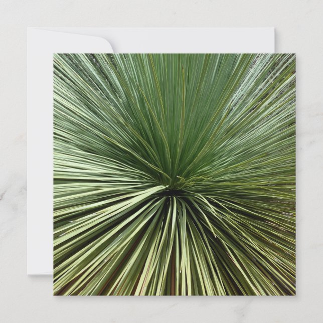 オーストラリア工場 – 抽象芸術 (正面)