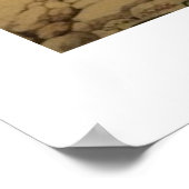 オーストラリア旅行ポスター、Daintree、QLD ポスター (角)