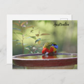 オーストラリア東部ロゼラ ポストカード (正面/裏面)