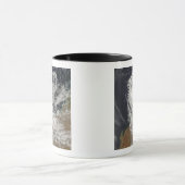 オーストラリア沖の熱帯低気圧オフェリア マグカップ (中央)