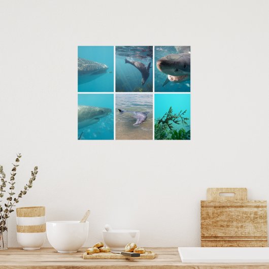 オーストラリア海の下で海生活動物 ポスター (キッチン)