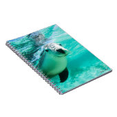 オーストラリア海ライオン ノートブック (右側)