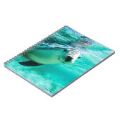 オーストラリア海ライオン ノートブック (左側)