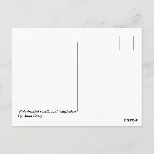 オーストラリア淡い色のの頭を持つローゼル&ワイルドフラワーカード ポストカード (裏面)