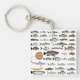オーストラリア淡水魚グループ キーホルダー