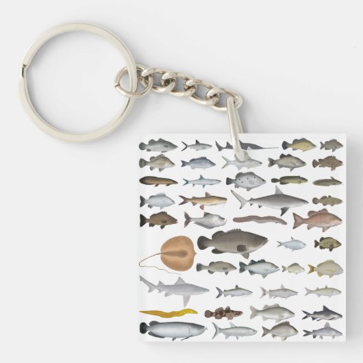 オーストラリア淡水魚グループ キーホルダー (正面)
