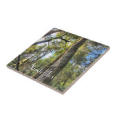 オーストラリア熱帯雨林ユーカリプタス・ガム樹 タイル (側面)