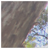 オーストラリア熱帯雨林ユーカリプタス・ガム樹 ファブリック (クローズアップ)