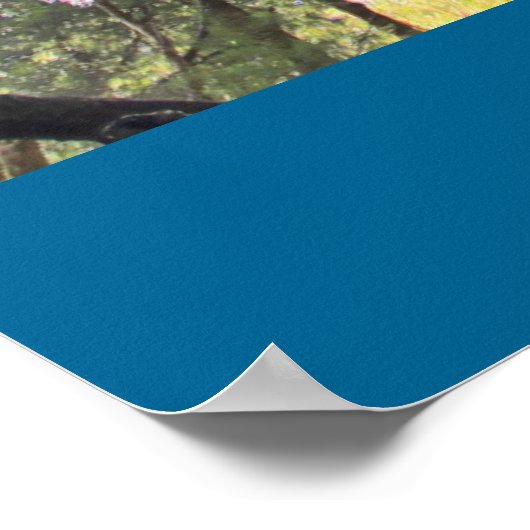 オーストラリア熱帯雨林ユーカリプトゥスガムの木 ポスター (角)