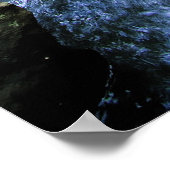 オーストラリア熱帯雨林 ポスター (角)