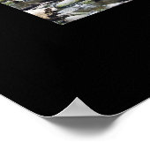 オーストラリア熱帯雨林 ポスター (角)