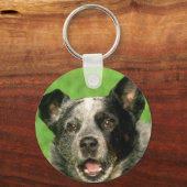 オーストラリア牛の犬のキーチェーン キーホルダー (正面)