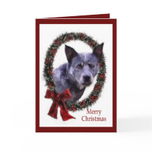 オーストラリア牛の犬のクリスマスプレゼント