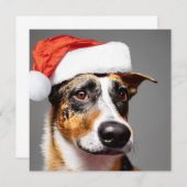 オーストラリア牛の犬のクリスマス (正面/裏面)