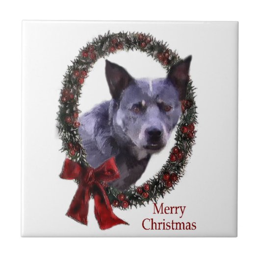 オーストラリア牛の犬のクリスマス タイル (正面)