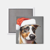 オーストラリア牛の犬のクリスマス マグネット (正面/裏面)