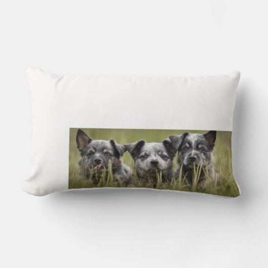 オーストラリア牛の犬の子犬ブルーヒーラースロー ランバークッション (正面)