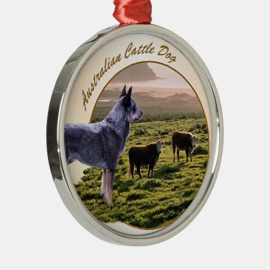オーストラリア牛の犬の芸術 メタルオーナメント (右)