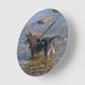 オーストラリア牛の犬時計 ラウンド壁時計 (傾斜)