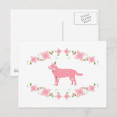 オーストラリア牛の犬 ポストカード (正面/裏面)