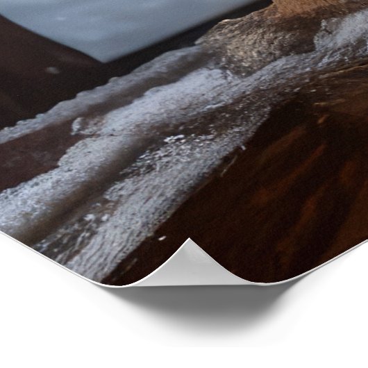 オーストラリア牛の雪そりクリスマスデコール ポスター (角)