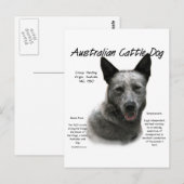 オーストラリア牛の青い犬の歴史;青いACD ポストカード (正面/裏面)
