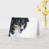 オーストラリア犬の空白のなカード カード (黄色い花)