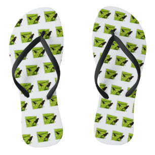 オーストラリア産のカササギの鳥が二羽 ビーチサンダル