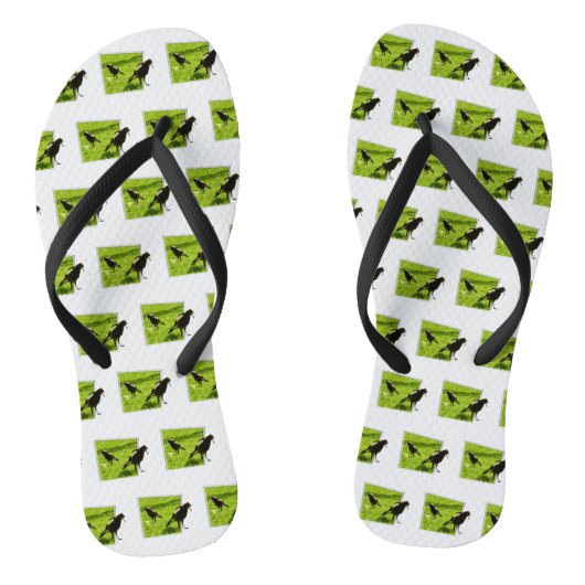 オーストラリア産のカササギの鳥が二羽 ビーチサンダル (ソール)