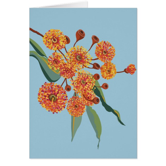 オーストラリア産のガムノキ (正面)