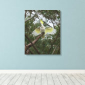 オーストラリア産のヒラメ類 キャンバスプリント (インサイチュ (ウッドフロア))