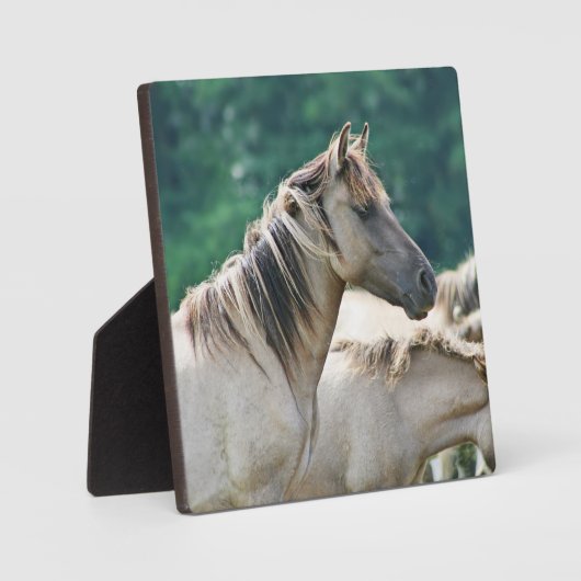 オーストラリア産のブルームビー馬の群れ フォトプラーク (正面)