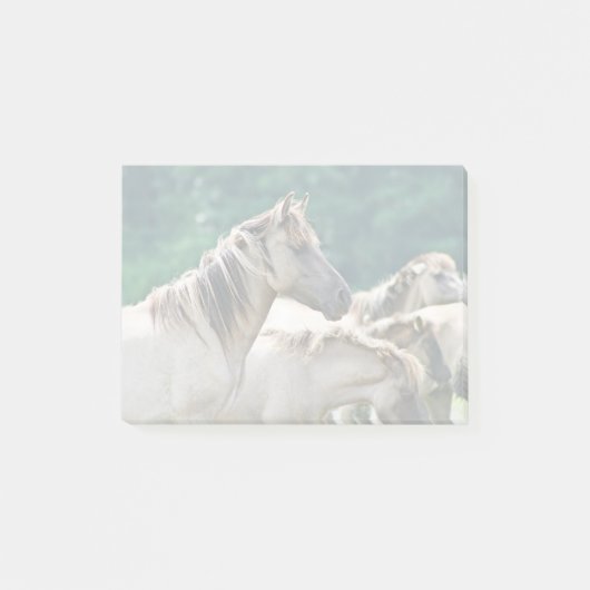 オーストラリア産のブルームビー馬の群れ ポストイット (正面)